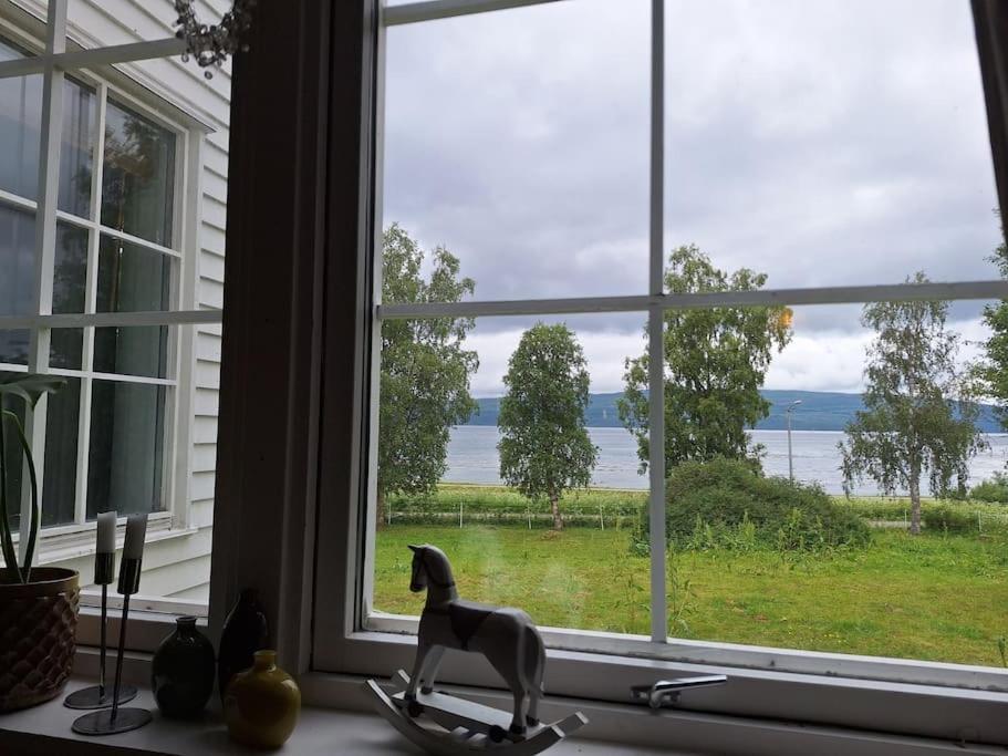 Privat Leilighet Pa Gard Med Badstue Og Nordlys Нарвик Екстериор снимка