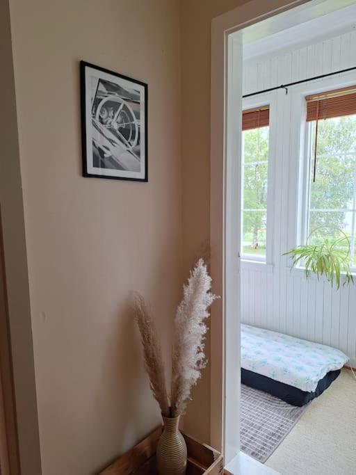 Privat Leilighet Pa Gard Med Badstue Og Nordlys Нарвик Екстериор снимка