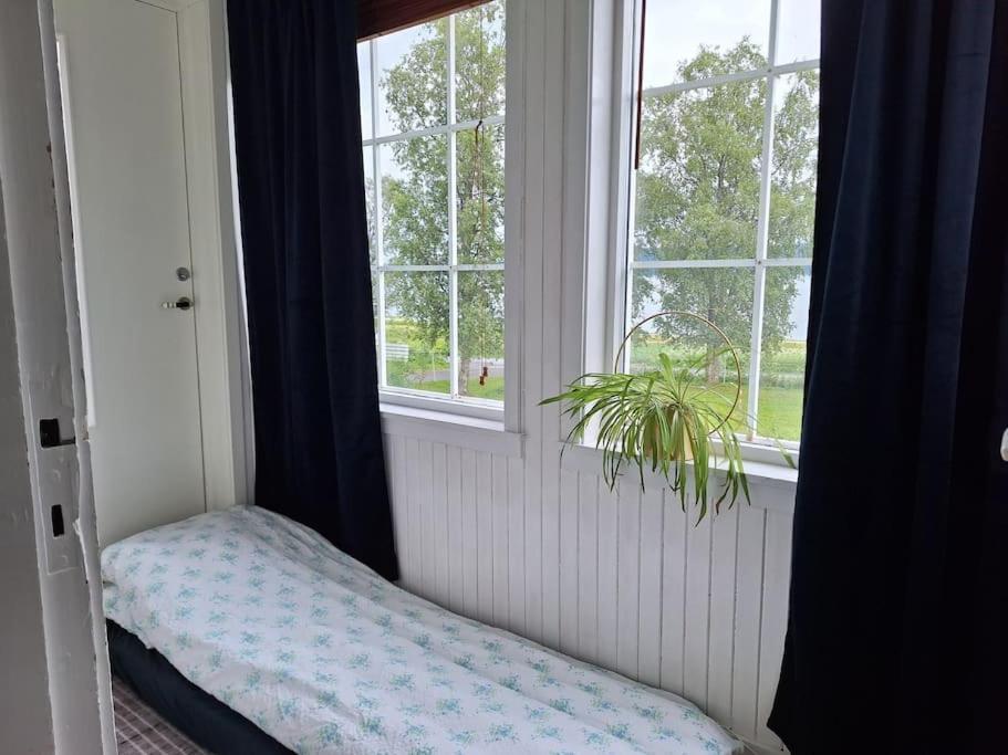 Privat Leilighet Pa Gard Med Badstue Og Nordlys Нарвик Екстериор снимка