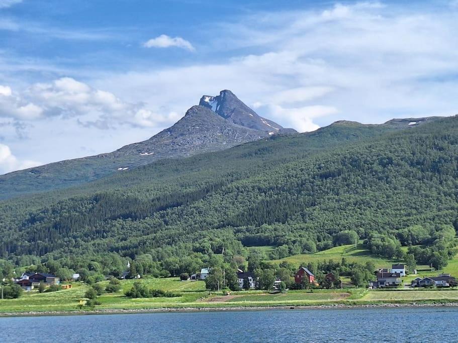 Privat Leilighet Pa Gard Med Badstue Og Nordlys Нарвик Екстериор снимка