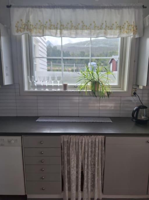 Privat Leilighet Pa Gard Med Badstue Og Nordlys Нарвик Екстериор снимка